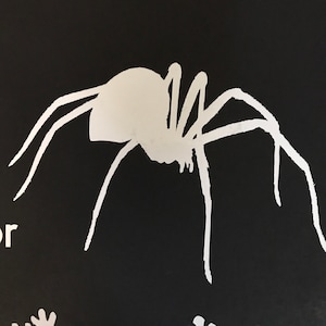 Spider decal
