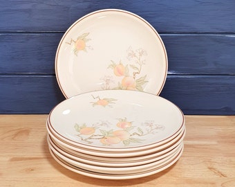 Eight Wedgewood Dinner Plates  ( Peach )