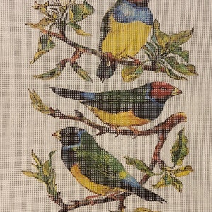 Needlepoint canvas “Vintage Birds on Branches” **No Threads**