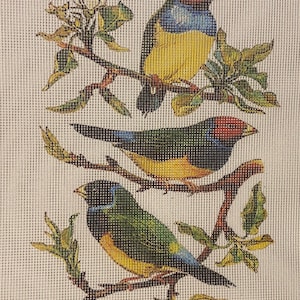 Needlepoint canvas “Vintage Birds on Branches” **No Threads**