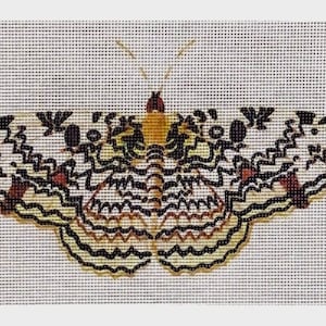 May include: A black and white butterfly with brown and yellow accents. The butterfly has intricate patterns on its wings.