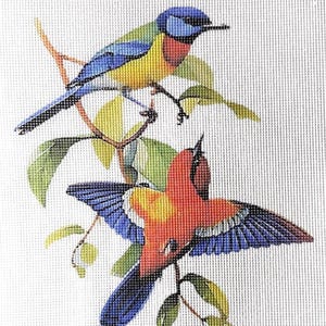 May include: Two colorful birds perched on a branch with green leaves. The top bird has blue, yellow, and red feathers. The bottom bird has red, yellow, and blue feathers.