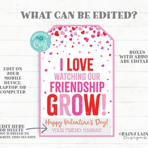 May include: A pink and white printable Valentine's Day card with the text "I love watching our friendship grow!" and "Happy Valentine's Day!" with a box for the recipient's name. The card is decorated with pink and red hearts.