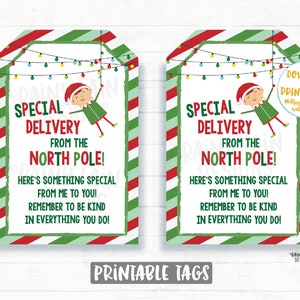 May include: Two printable gift tags featuring a cartoon elf hanging from a string of Christmas lights. The tags are red and green with white text that reads "Special Delivery from the North Pole!" and "Here's something special from me to you! Remember to be kind in everything you do!"