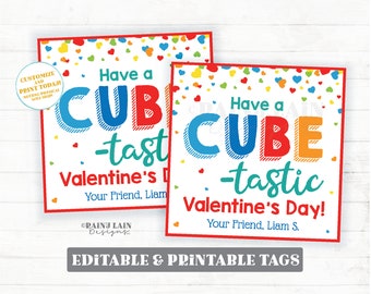 Have a Cube-Tastic Valentine Tag, Cube Fidget Toy Game, Valentine's Day Printable Kids Preschool Classroom Non-Candy Favor Gift