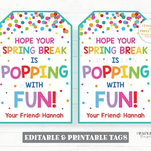 Espero que suas férias de primavera estejam estourando com etiquetas divertidas para presente de primavera, pipoca pop fidget, pré-escolar, sala de aula, imprimível, lembrança do professor para crianças