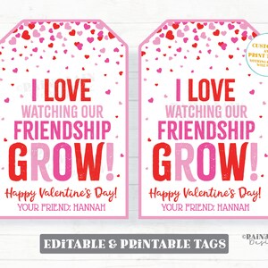 May include: Two pink printable Valentine's Day gift tags with a white background and pink and red hearts. The text on the tags reads "I love watching our friendship grow! Happy Valentine's Day! Your friend: Hannah".