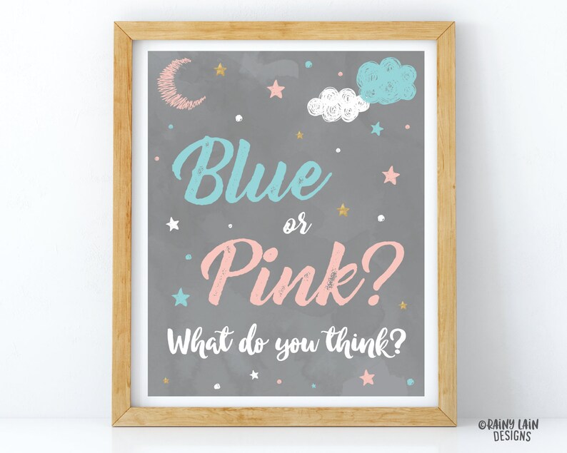 Blue or Pink What Do You Think Sign Twinkle Twinkle Little Etsy
