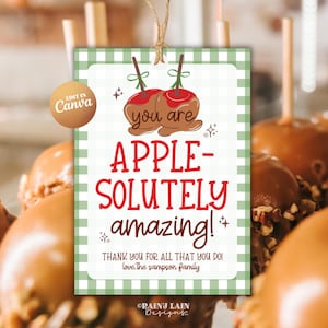 Può includere: Un'etichetta regalo con un bordo a scacchi verde e bianco e le parole "you are APPLE-SOLUTELY amazing!" in rosso e nero. L'etichetta presenta illustrazioni di mele caramellate.