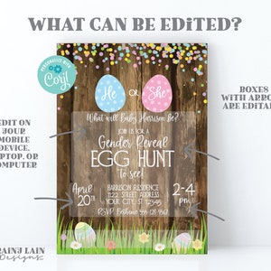 Easter Gender Reveal Invitation Gender Reveal Egg Hunt Invite He or She What will Baby Be Eggs Spring Gender Reveal Rustic Wood Grass image 2