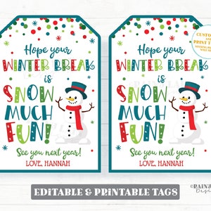 Espero que suas férias de inverno sejam neve, etiqueta muito divertida do professor, etiqueta de presente de feriado para impressão, crianças, natal, estudante, pré-escola, sala de aula, lembrancinha de festa