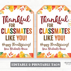 Thankful for Classmates Like You Tags, Thankful Tags, Pie Tags, Thanksgiving Gift Tag Friends Co-Worker School Class thanksgiving gift