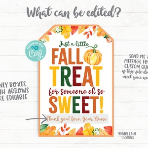 May include: Editable fall treat tag with a pumpkin, leaves, and the text "Just a little fall treat for someone oh so sweet!"  You can personalize the tag with your own name and message.