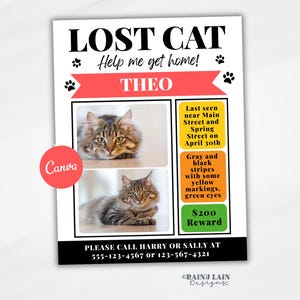 May include: A lost cat flyer with the text "LOST CAT" and "Help me get home!". The flyer includes two photos of a cat named Theo, with details about its appearance and last seen location. A reward is offered.
