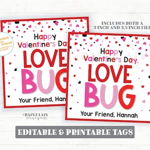 Love Bug Valentine Tag, Wurm Valentines, Raupe, Marienkäfer, Freund Vorschulklassenzimmer druckbare Kinder Non-Candy Valentine Favor Geschenkanhänger