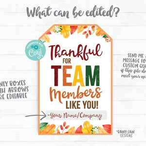 May include: A printable Thanksgiving-themed gift tag with the text "Thankful for Team Members Like You!" and a space to add your name or company. The tag features a watercolor design with fall leaves in shades of orange, yellow, red, and green.