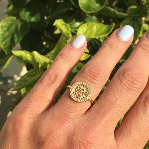 May include: A gold ring with a round, openwork design. The ring is on a finger and the background is a green leafy plant.