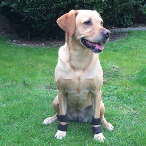 Carpal Pad (Stopper Pad) Protectors for Your Dog- Hard Wearing Leather - Help Avoid Injury & Vet Bills.