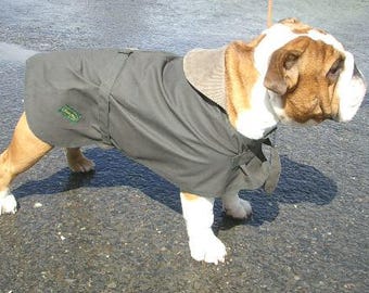 english bulldog winter coats uk