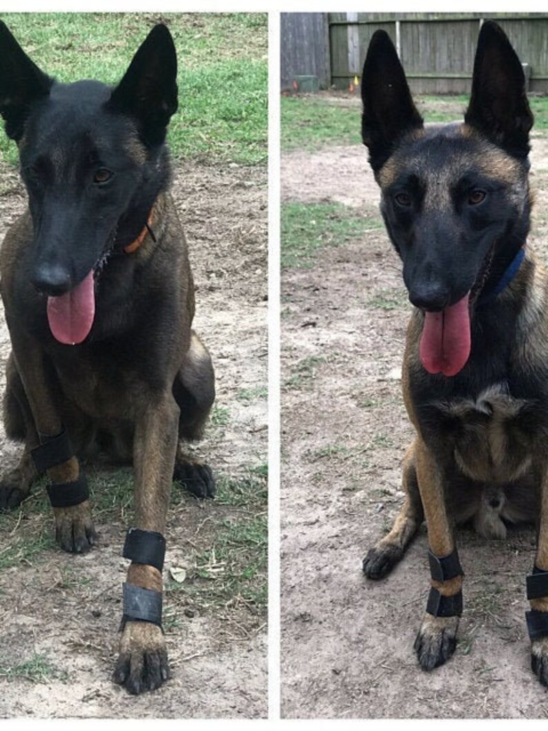 Carpal Pad stopper Pad Protectors for Your Dog Hard Wearing Etsy