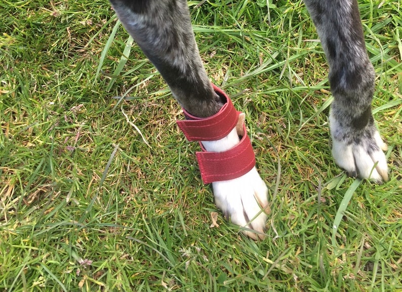 Carpal Pad Stopper Pad Protectors for Your Dog Hard Wearing Etsy