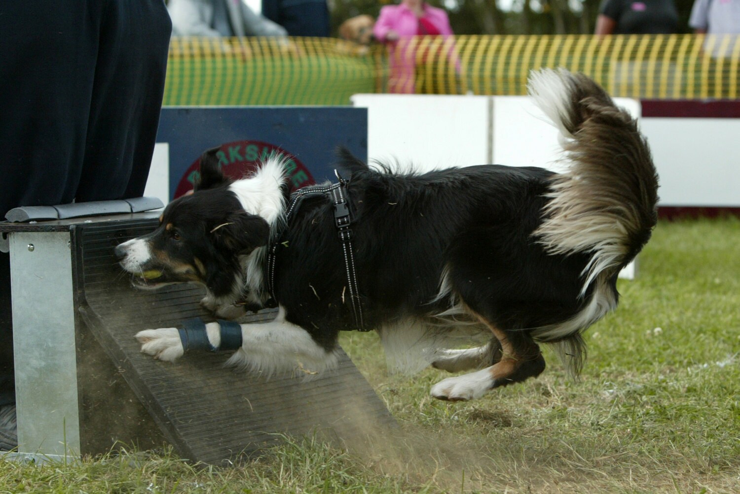 Carpal Pad Stopper Pad Protectors for Your Dog Hard Wearing Etsy