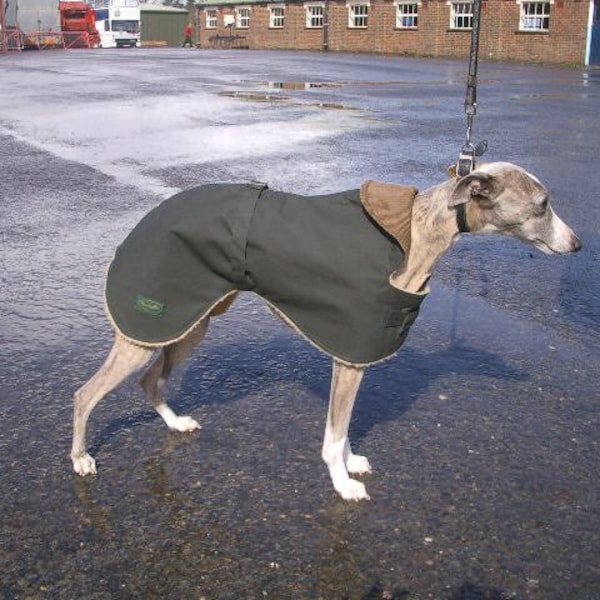 Whippet Waxed Cotton-look Waterproof Dog Coat - thermal lined for warmth