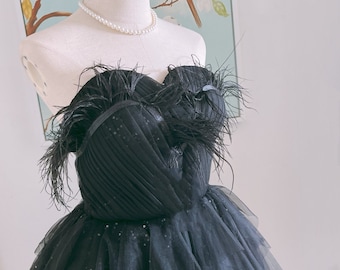May include: A black strapless tulle dress with feather trim and sequins. The dress has a sweetheart neckline and a fitted bodice.