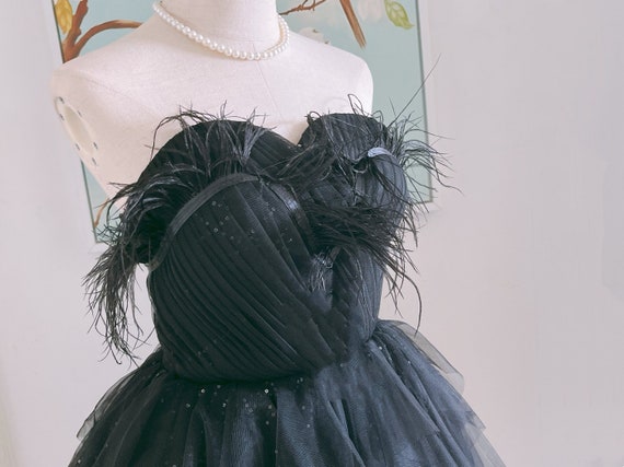 black goddess dress Elegant Black Feather Sloane Corset Gown main image 0