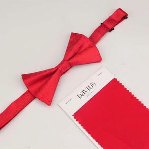 Puede incluir: Una pajarita roja brillante con una correa ajustable, junto a una tarjeta de muestra de color. La tarjeta dice "Scarlet" y "David's Bridal". La pajarita es un accesorio formal para eventos.