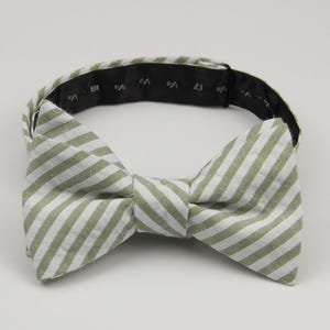 May include: A green and white striped bow tie with a black adjustable strap.