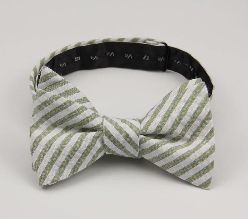 May include: A green and white striped bow tie with a black adjustable strap.
