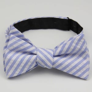 May include: A blue and white striped bow tie with a black elastic band.