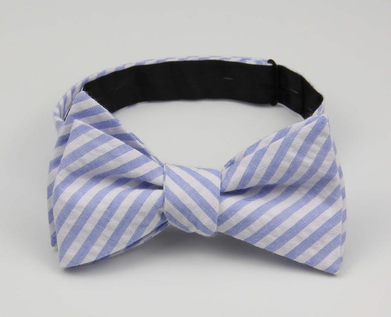 May include: A blue and white striped bow tie with a black elastic band.