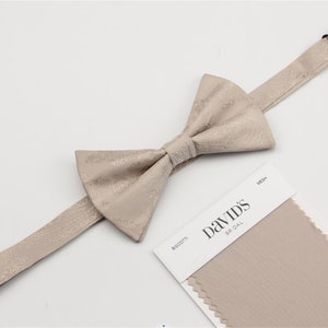 Biscotti Bowties. Mens Bow Ties Frost. Frost Color  Bow Tie for Men for Wedding.