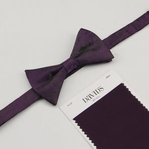 Plum Bow Ties - Mens Dark Purple Color Paisley Bowtie for Men Children