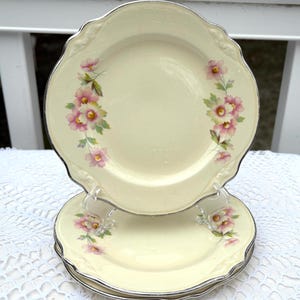 JJ59 Virginia Rose Set Of THREE 6 3/8 Inch Bread Plates Homer Laughlin Mid Century