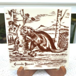 Può includere: Piastrella quadrata in ceramica con un'illustrazione marrone di un castoro in un paesaggio naturale. La piastrella presenta alberi, montagne e il testo "Canada Beaver" in un carattere decorativo. La piastrella è esposta su un supporto di legno.