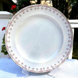 May include: White porcelain plate with a delicate pink rose and gold trim border. The plate is round and has a slightly raised edge. The design features small pink roses connected by a gold chain-like pattern.