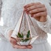 see more listings in the Wedding Terrariums section