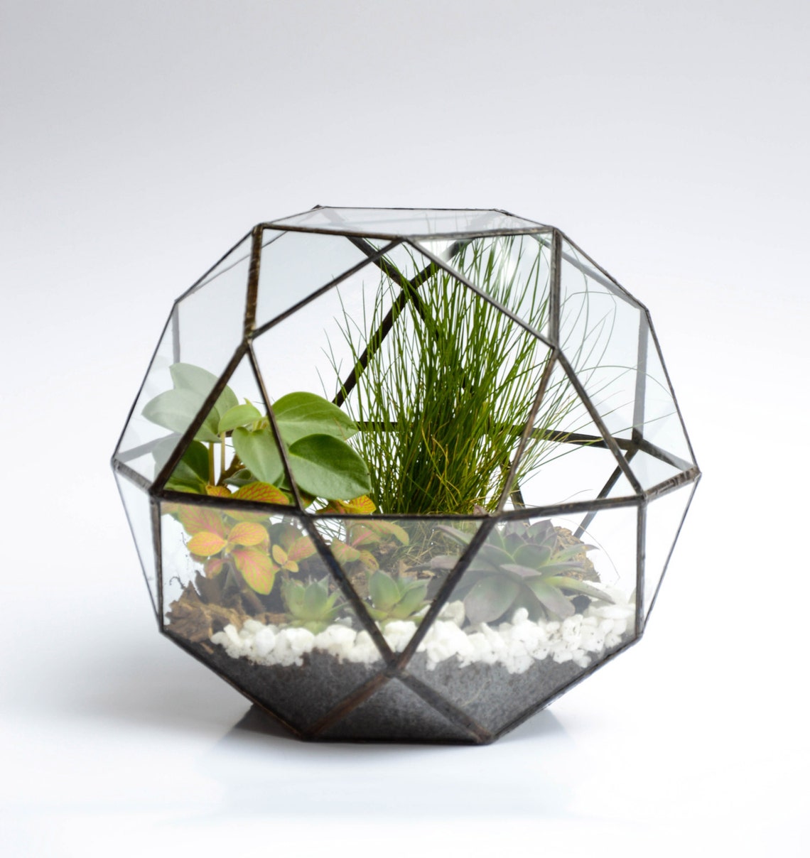 Large Glass Terrarium Terrarium Geometric Terrarium Stain Etsy UK