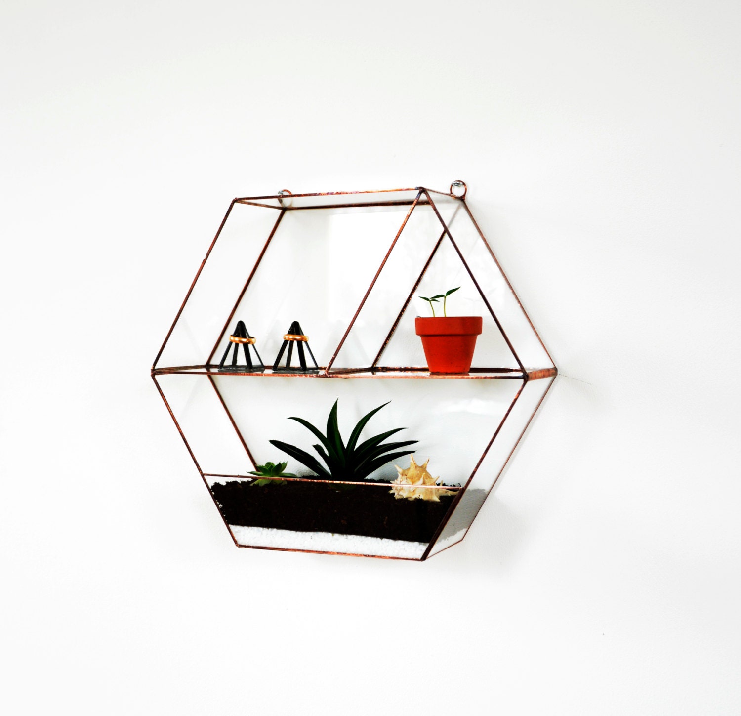 Terrarium en Verre Suspendu, Jardinière Géométrique Murale, Terrarium Teinté, Nid d'abeille, Décor M