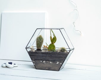 New Honeycomb Glass Terrarium - XL large Geometric Planter - Stained Glass Terrarium