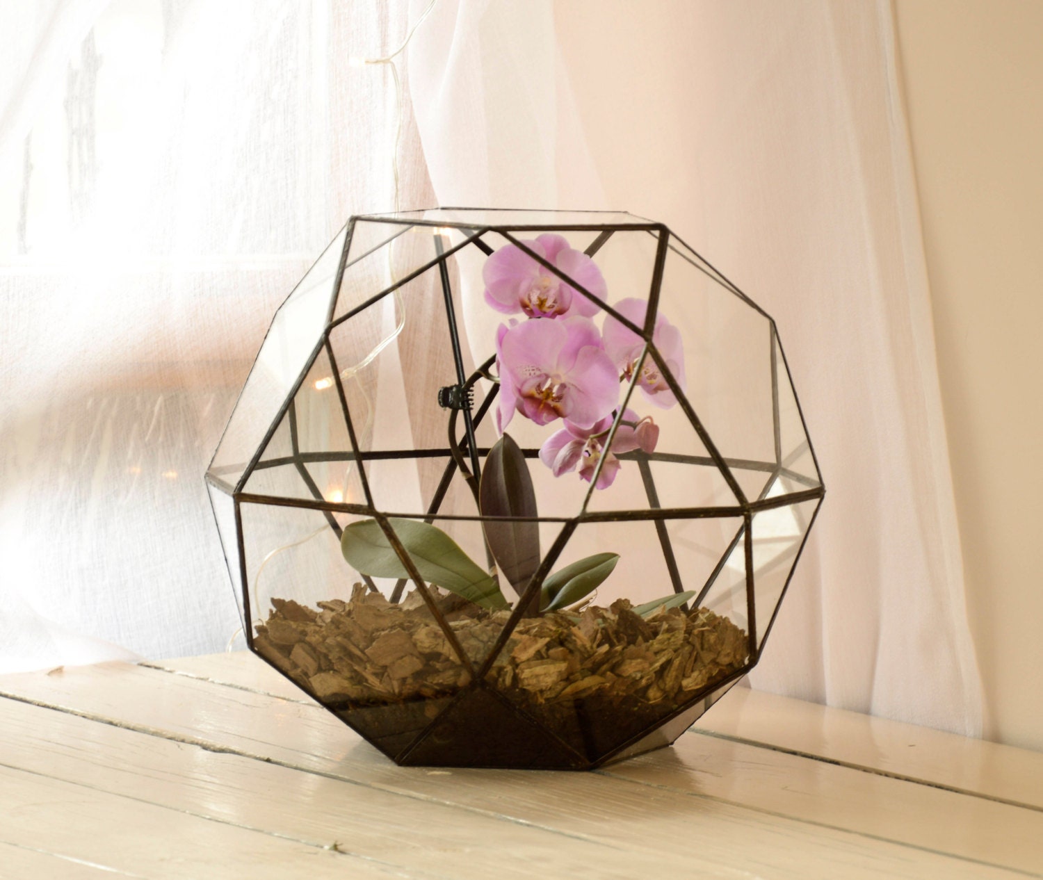 XXL Large Glass Terrarium Terrarium Geometric Terrarium Etsy UK