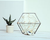 New Honeycomb Glass Terrarium - Medium Geometric Planter - Stained Glass Terrarium