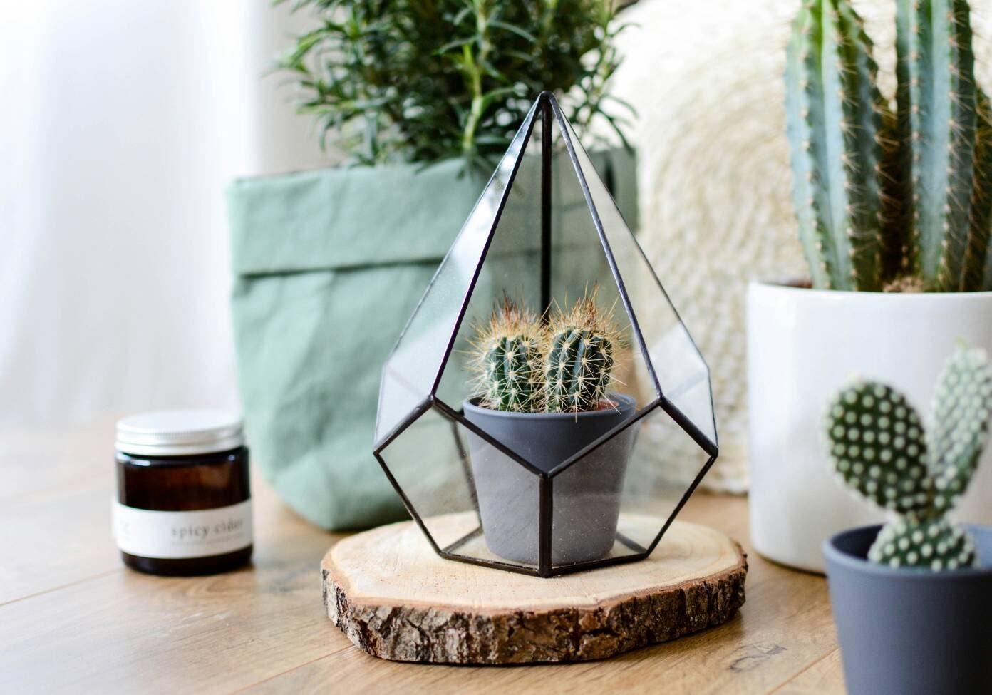 Small Glass Terrarium Glass Terrarium Geometric Terrarium Etsy