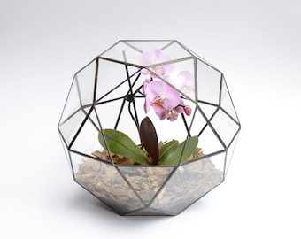 XXL Großes Glas Terrarium, Terrarium, Geometrisches Terrarium, Glas Übertopf, Terrarium Set, Hochzeit Kartenbox, Hängende Zimmerpflanzen, Gemütlich