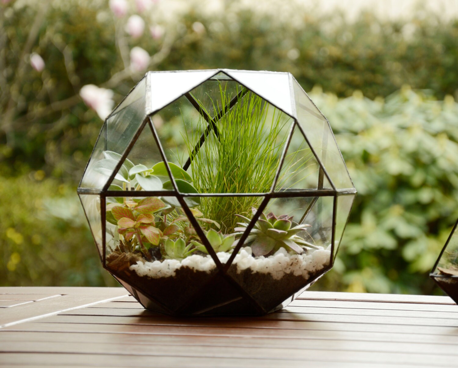 Large Glass Terrarium Terrarium Geometric Terrarium Stain Etsy Canada