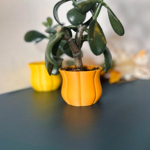 May include: Two yellow ceramic flower pots, one with a small succulent plant. The plant has green leaves and a brown stem.