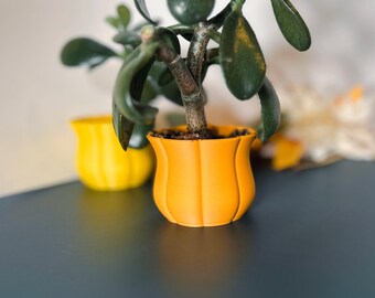 Maceta para suculentas con forma de flor - Maceta decorativa minimalista - Maceta de interior con diseño floral moderno, 15 opciones de colores